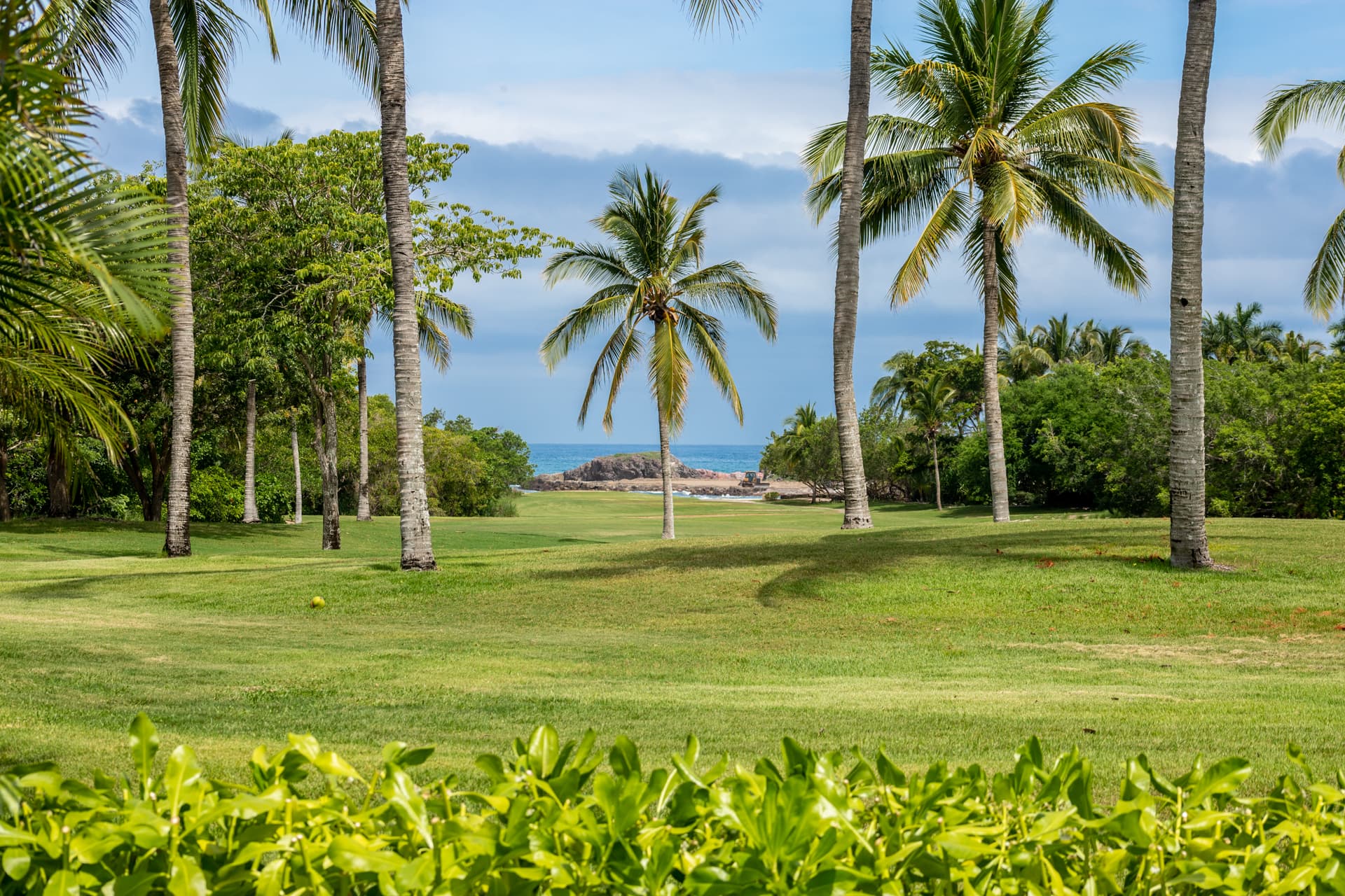 Las Palmas #11 - Image 3