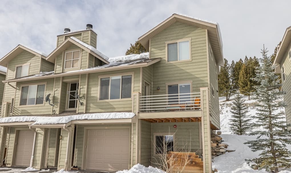 Blacktail Buck - Image 2