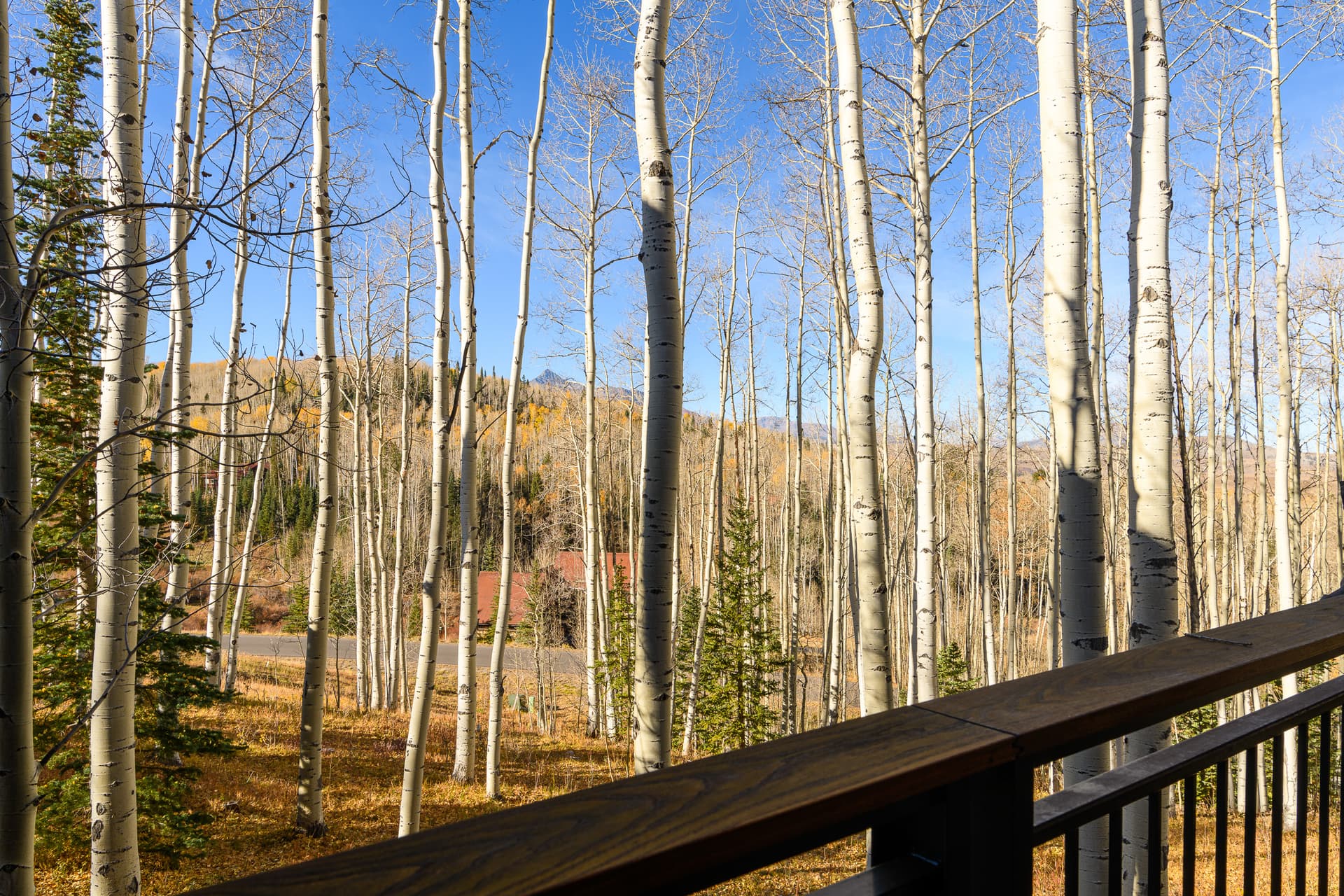 Log Out At Touchdown Retreat - Image 74