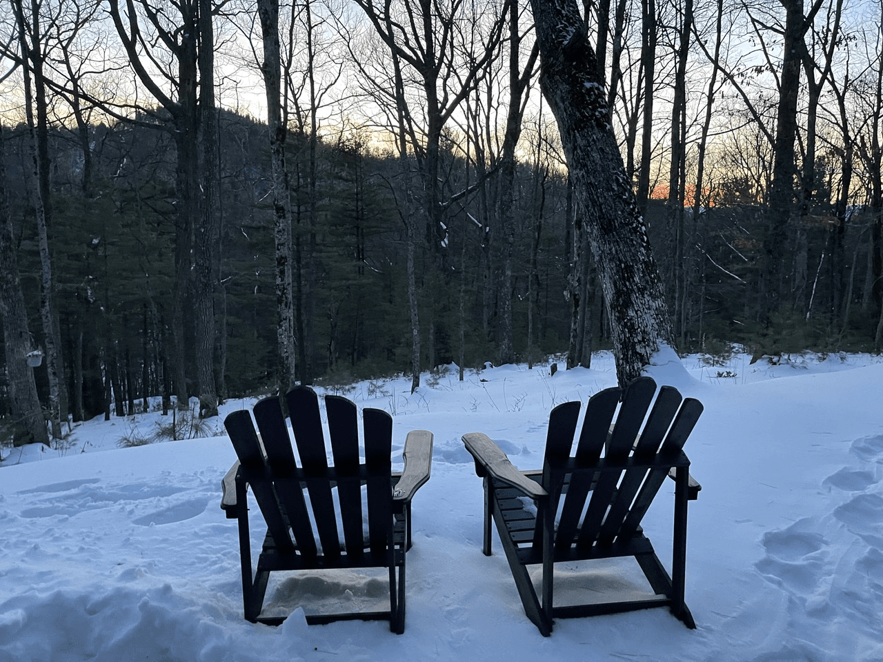 Bearadise at Blue Ridge - Image 40