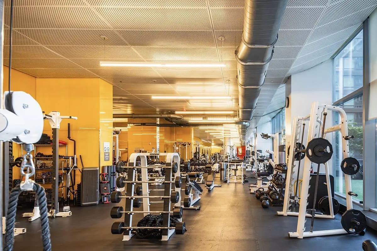 Forte Select XXII - Image 24