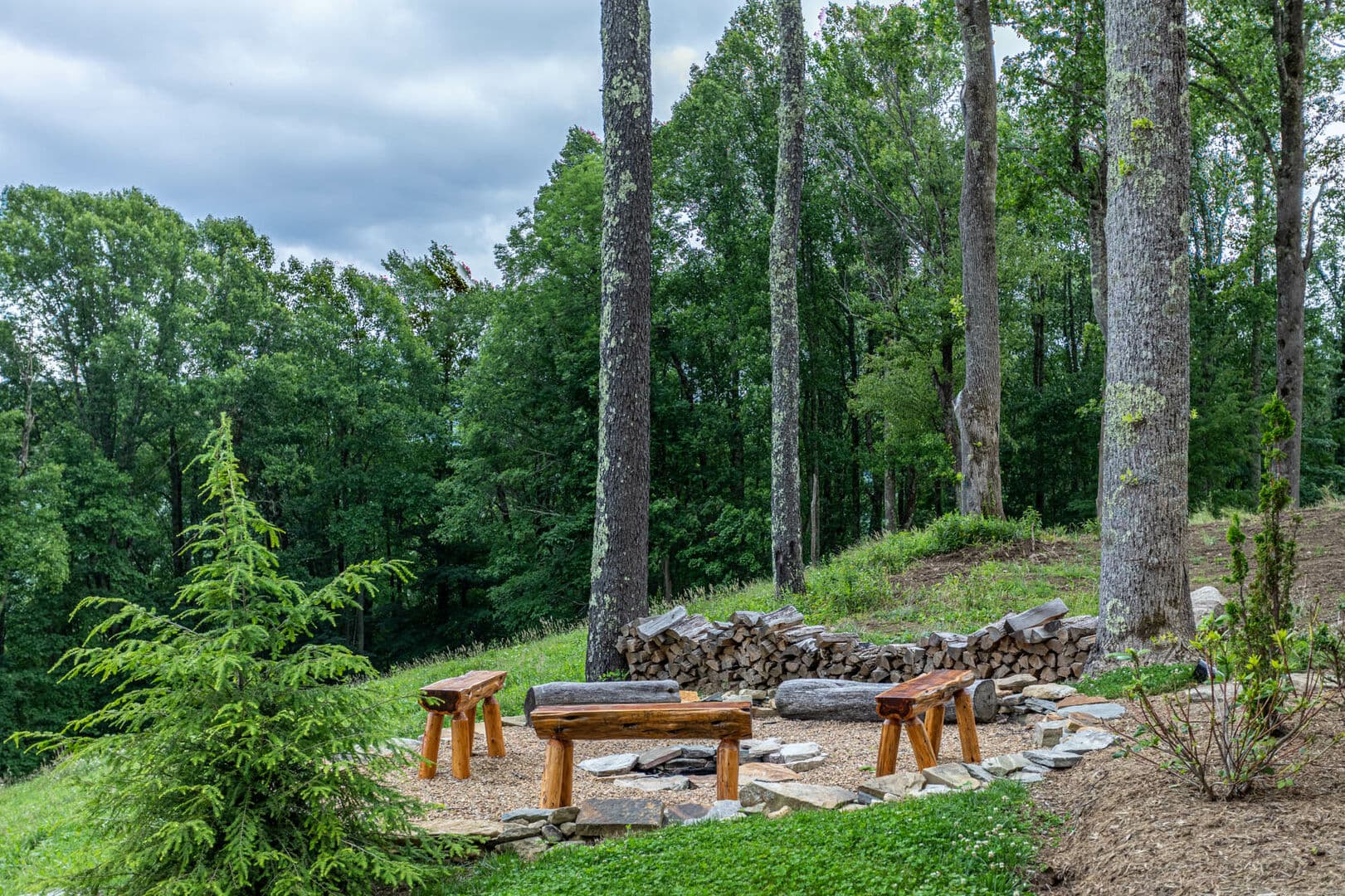 Lazy Bear Home - Image 30