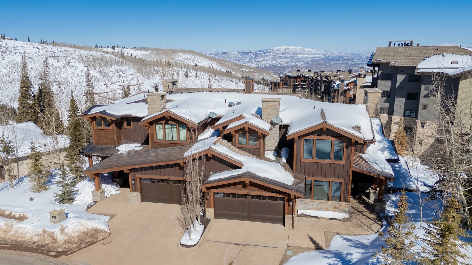 Silver Buck - Image 57