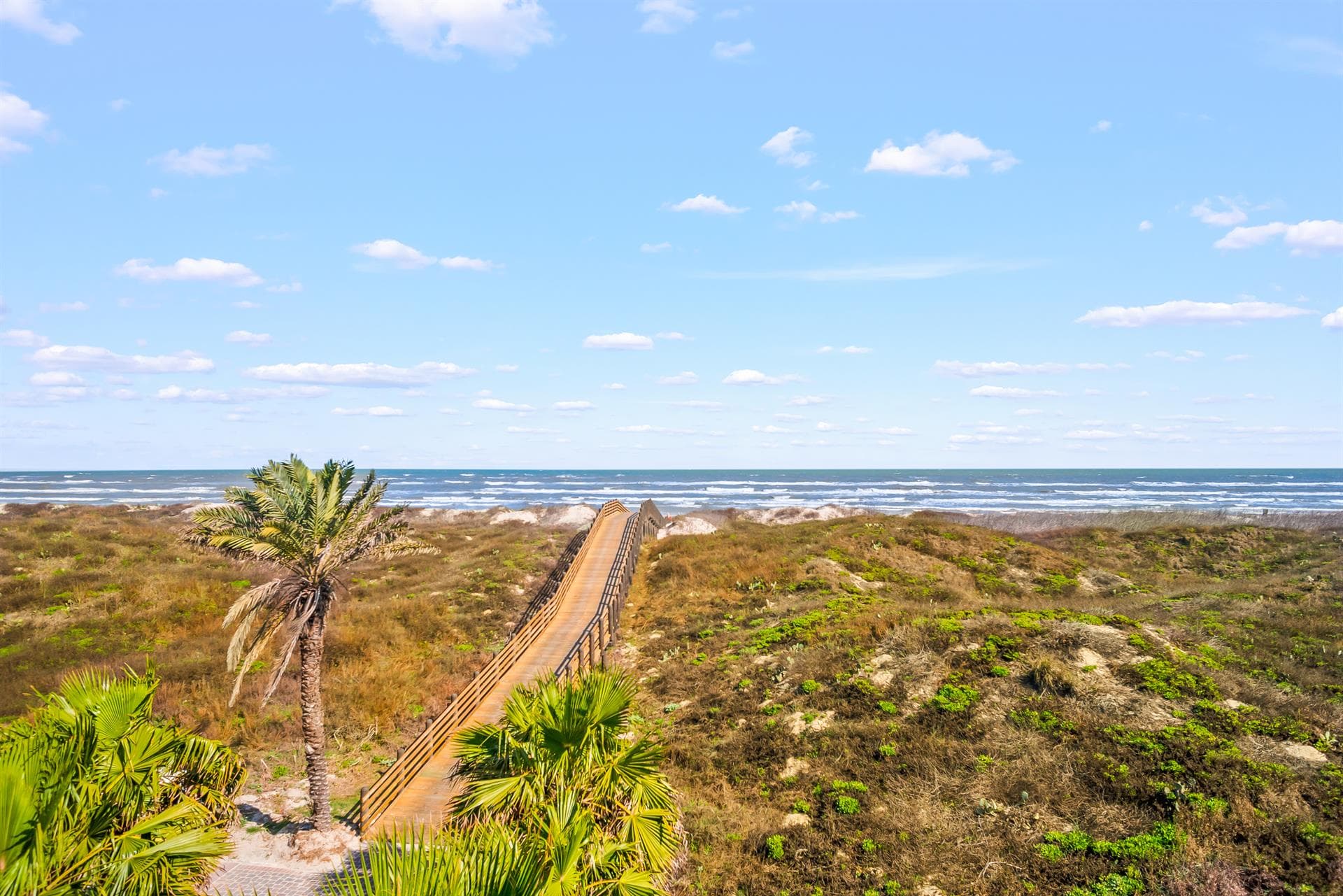 Sea of Dreams - Image 25