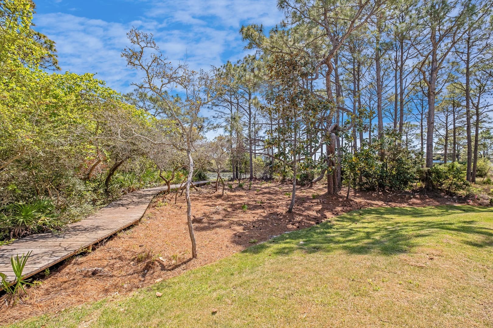 Timeless 30A - Image 31