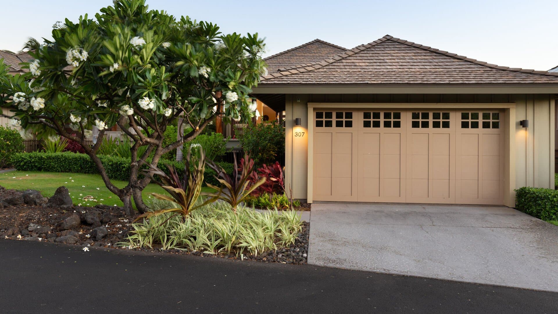 Dreams Come True - Image 39