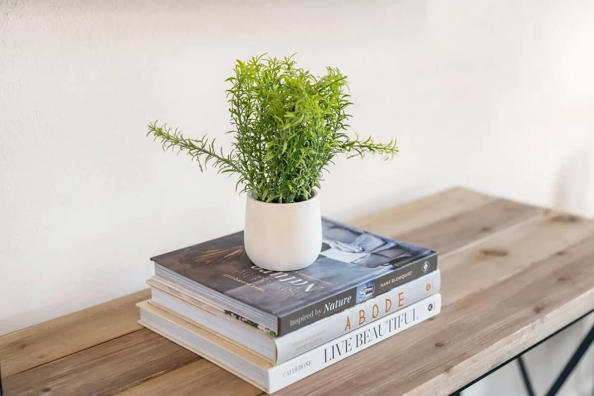 Yellow Lotus - Image 6