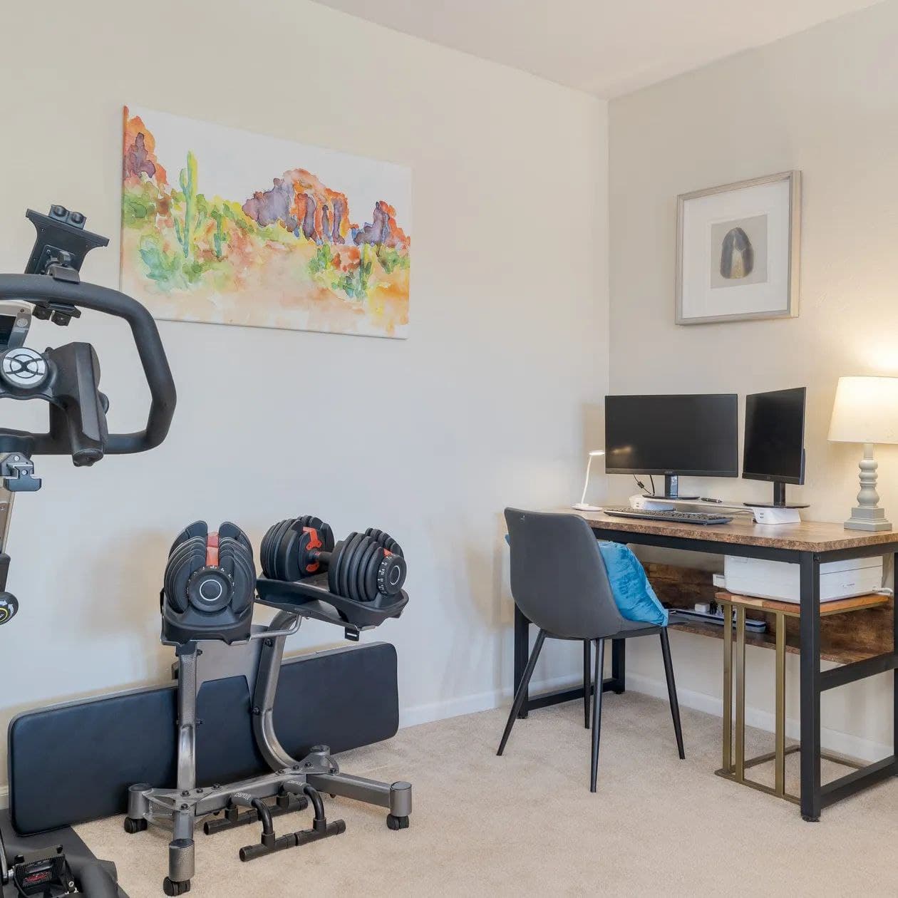 Sonoran Sunshine - Image 17