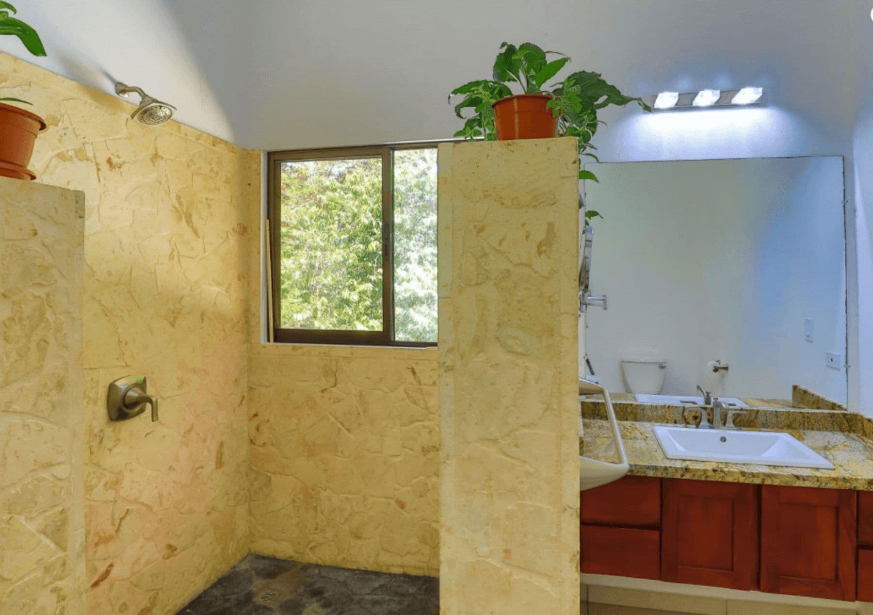 Ballena Bliss - Image 8