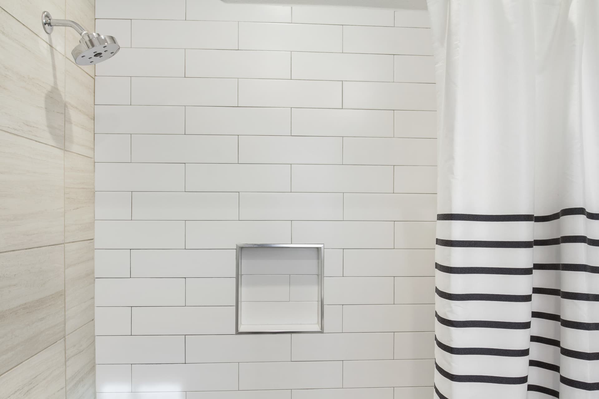 Deep Sea Parrot - Image 19