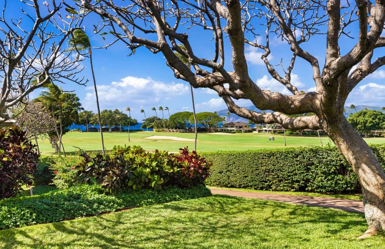 Maui Eldorado - Image 32