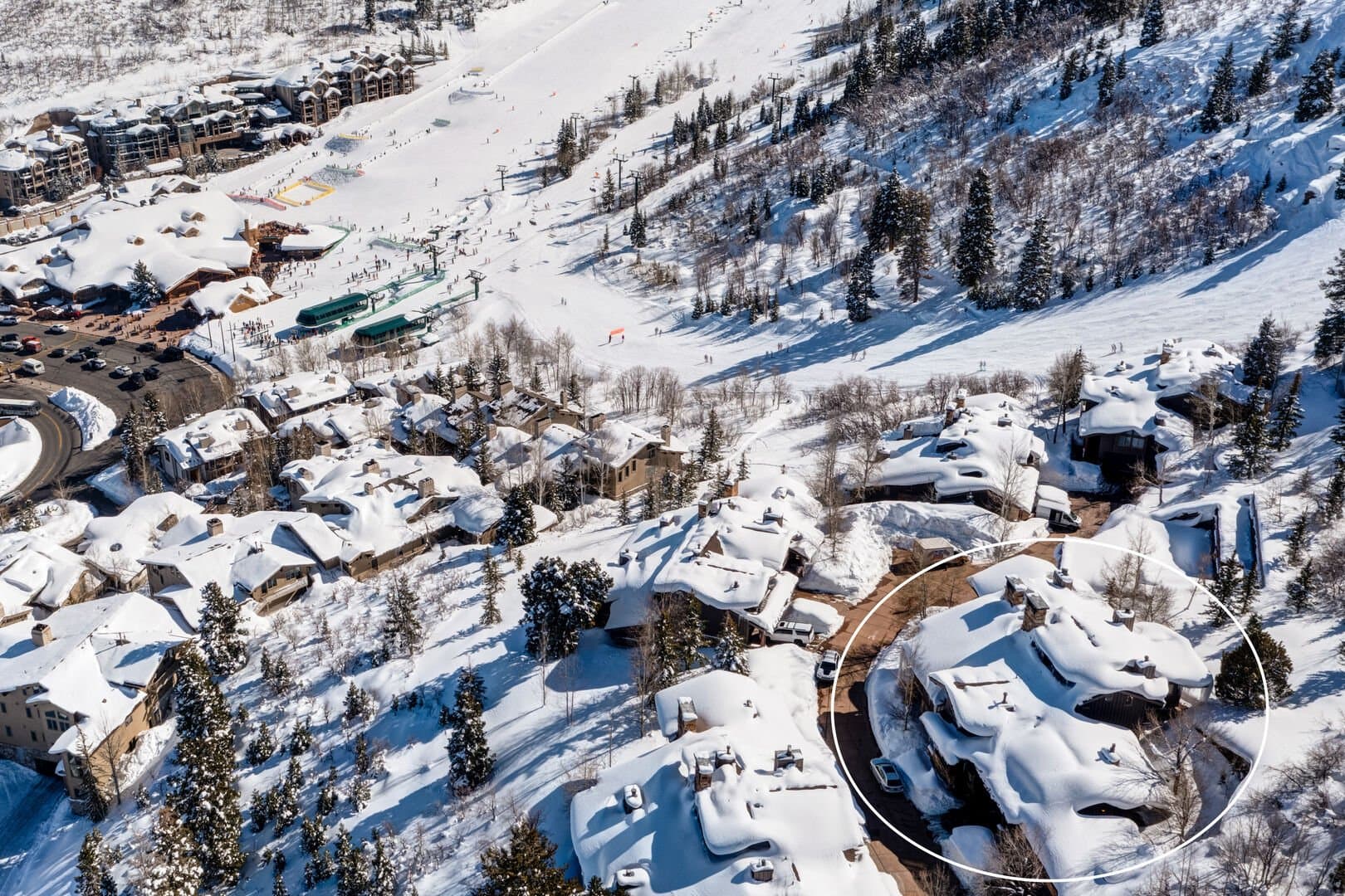 Success View - Image 49