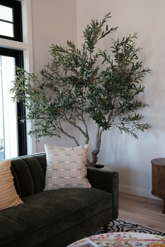 Glenlo Vines - Image 10