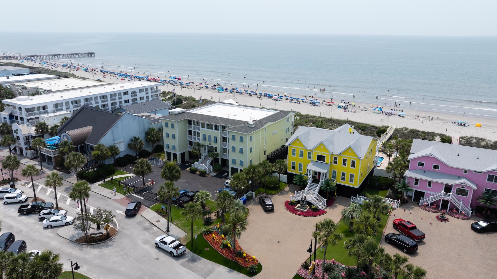 Palms Postcard - Image 45