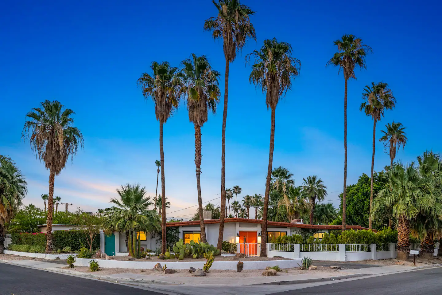 Sunny Sanctuary - Image 3