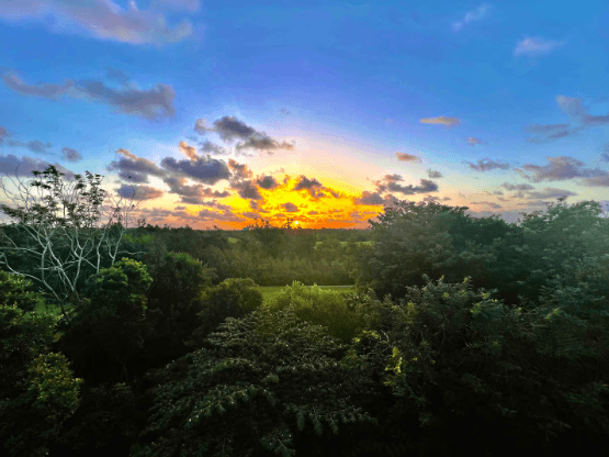 Riviera Echo - Image 35