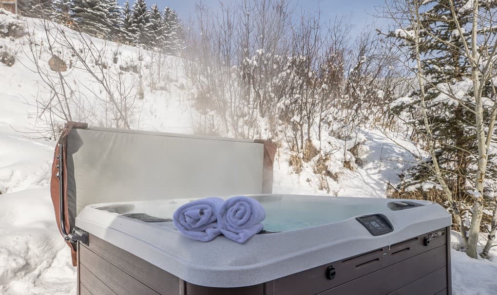 Little Coyote #2573 - Image 2