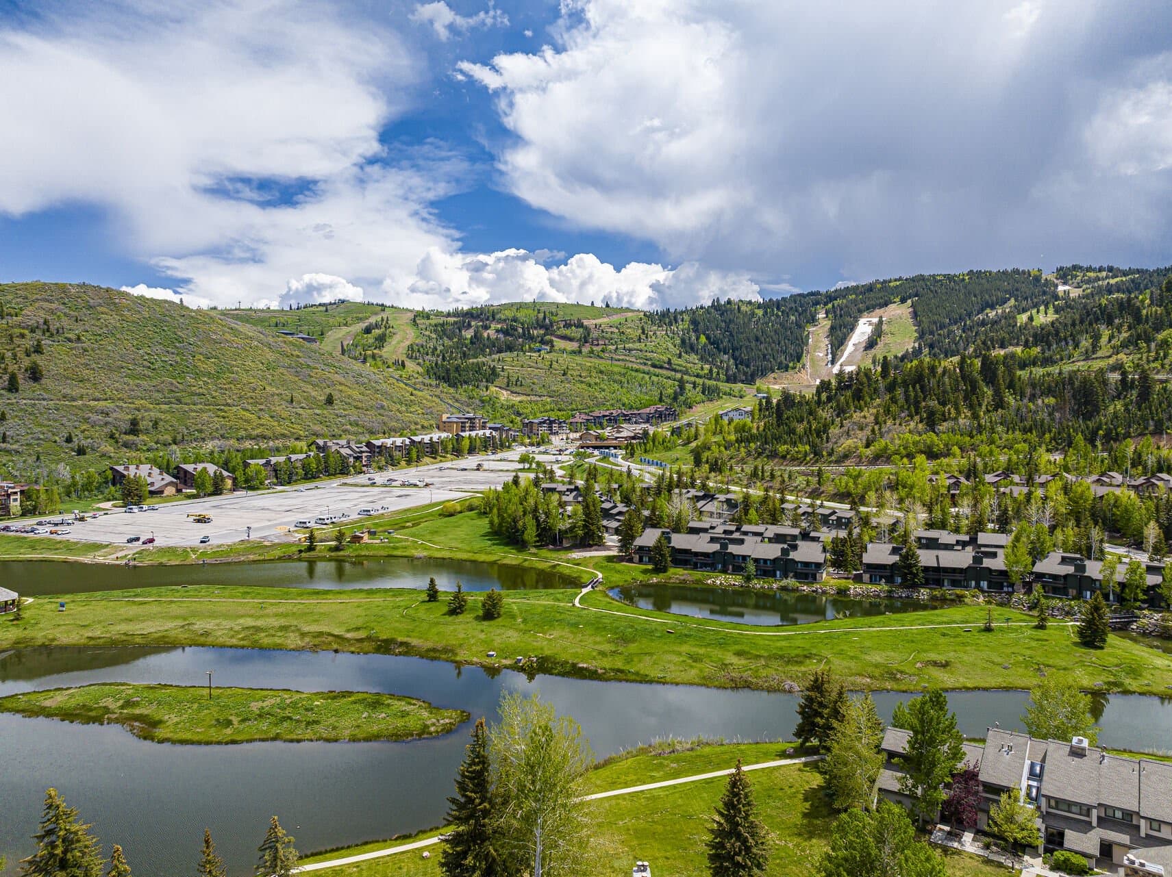 Fawngrove Woodland Escape - Image 39