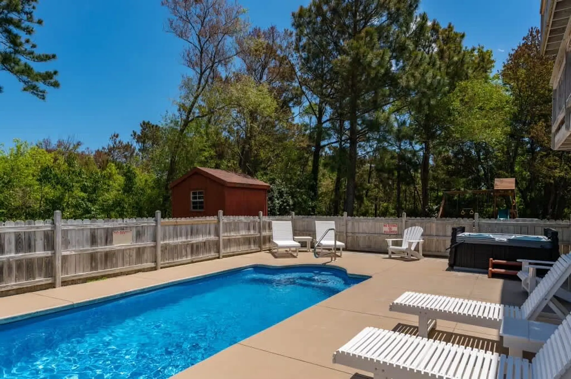 Yellow Lotus - Image 42