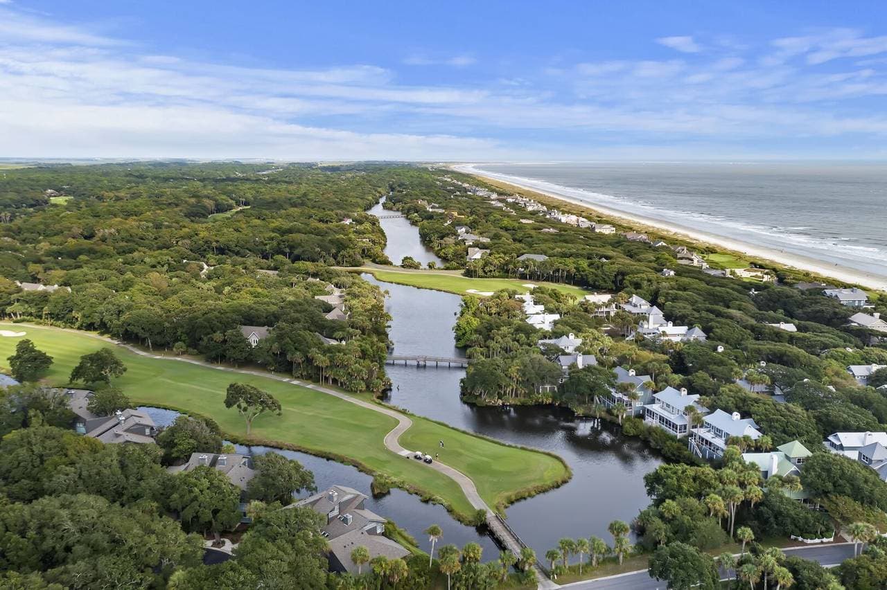 Silver Moss - Image 44