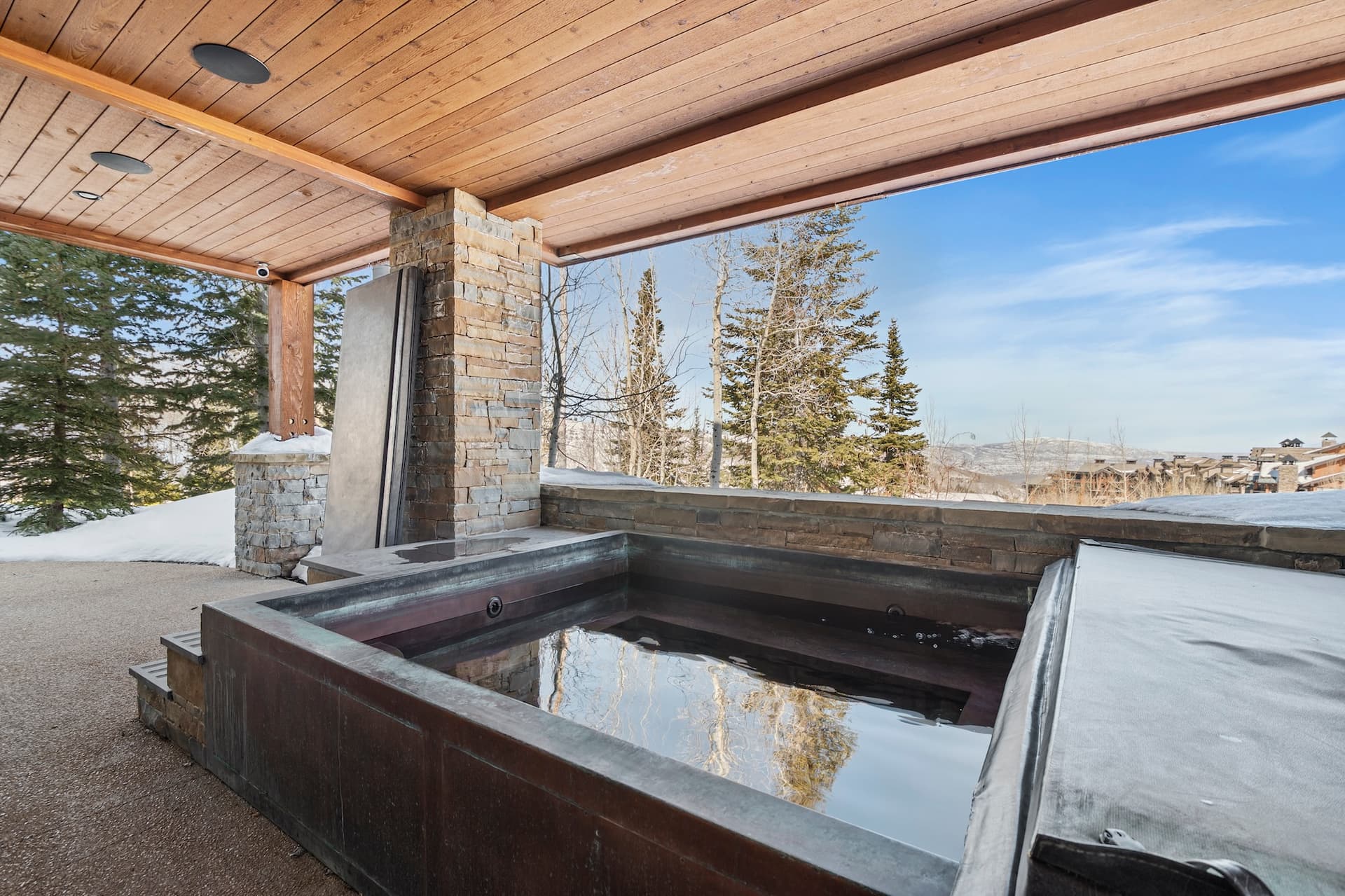 Silver Buck - Image 2