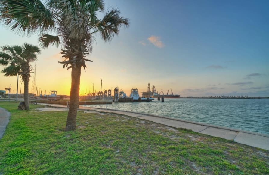 Tranquil Tides - Image 41