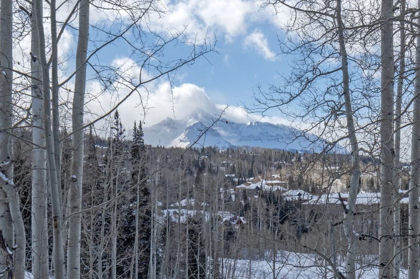 Emerald Elk at Village Creek - Image 20
