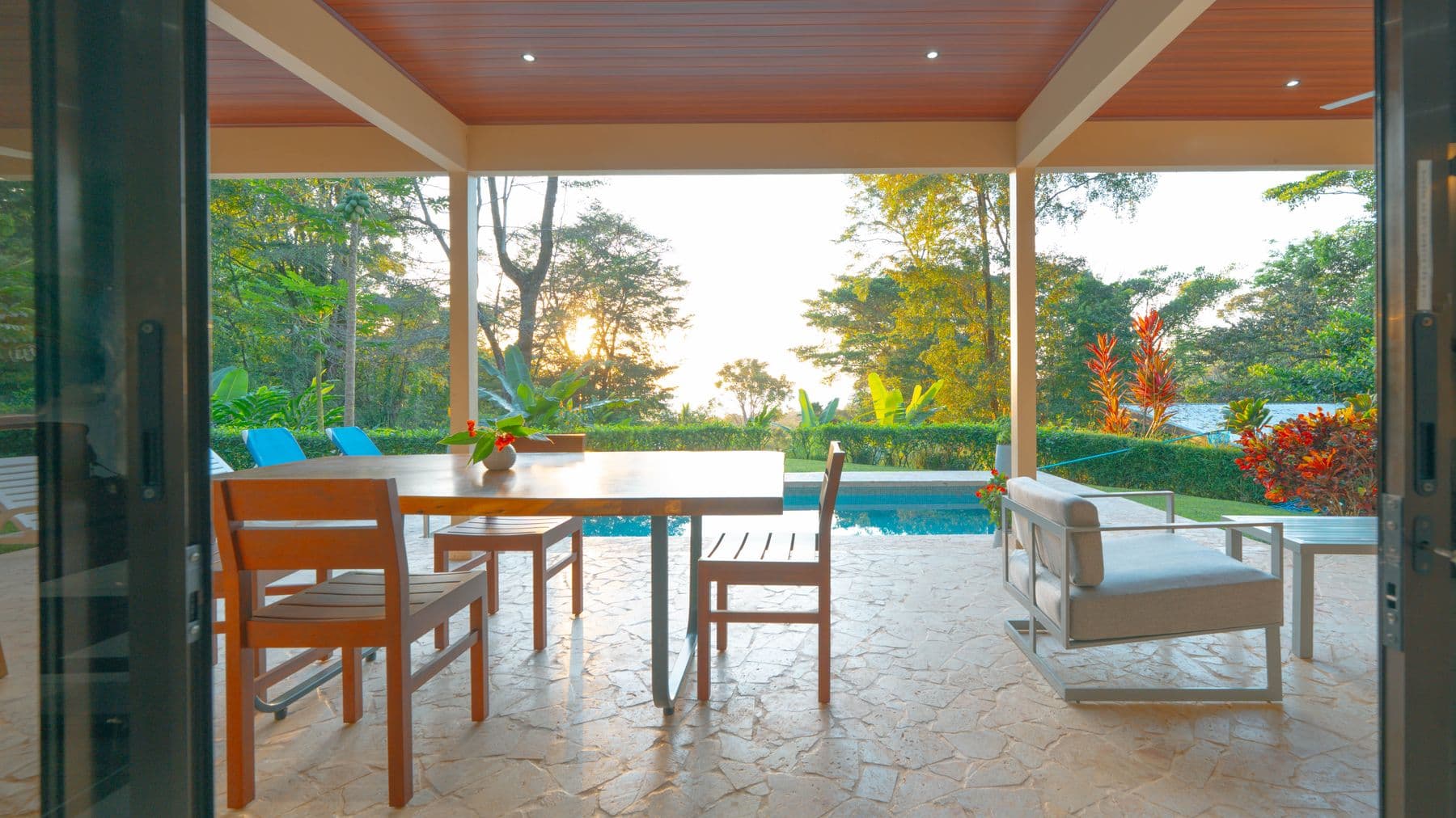 Ballena Bliss - Image 3