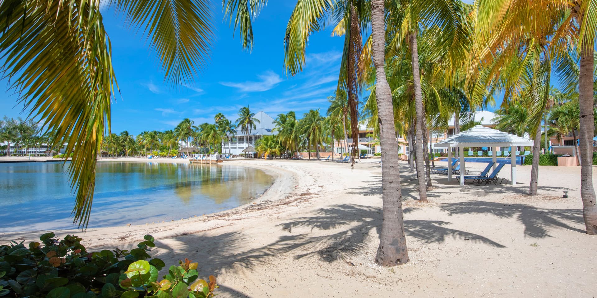 Starfish Kai - Image 13