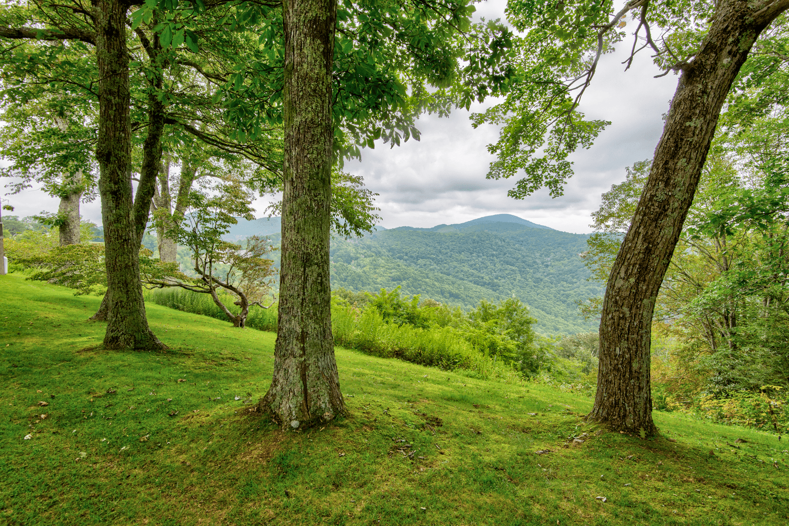 Celestial View - Image 36