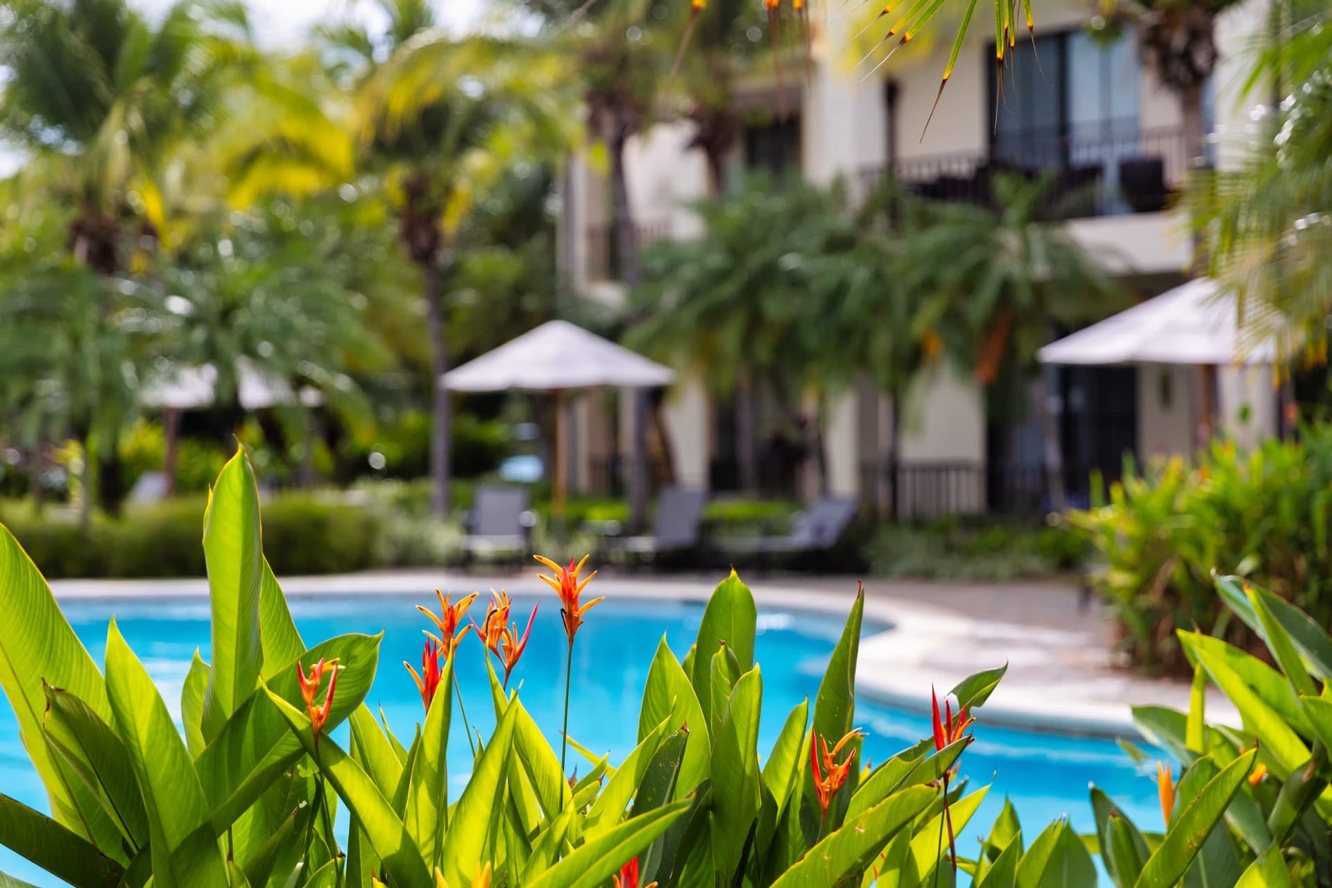 Lazy River Residence - Image 27