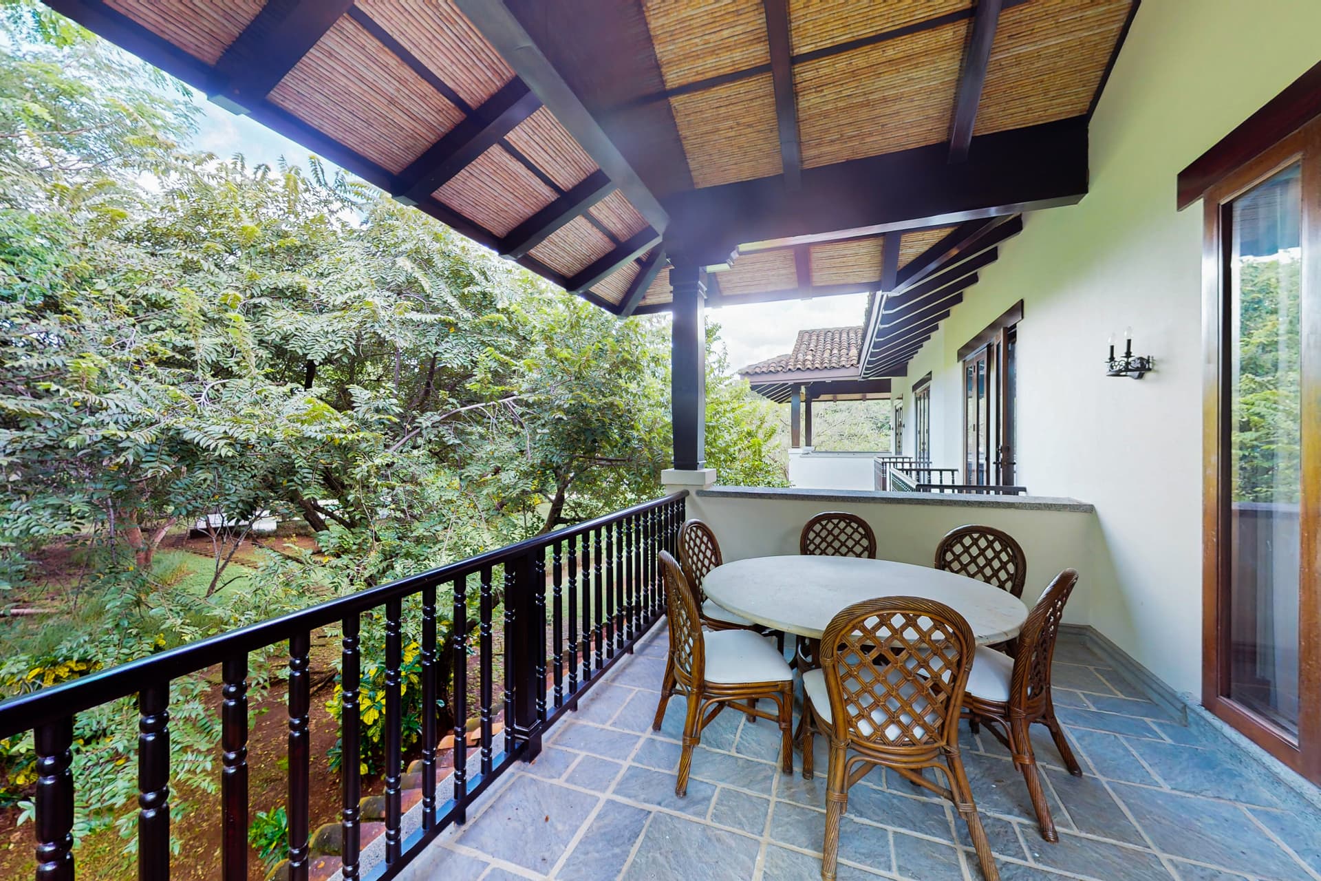 Pinilla Flor de Malinche - Image 27