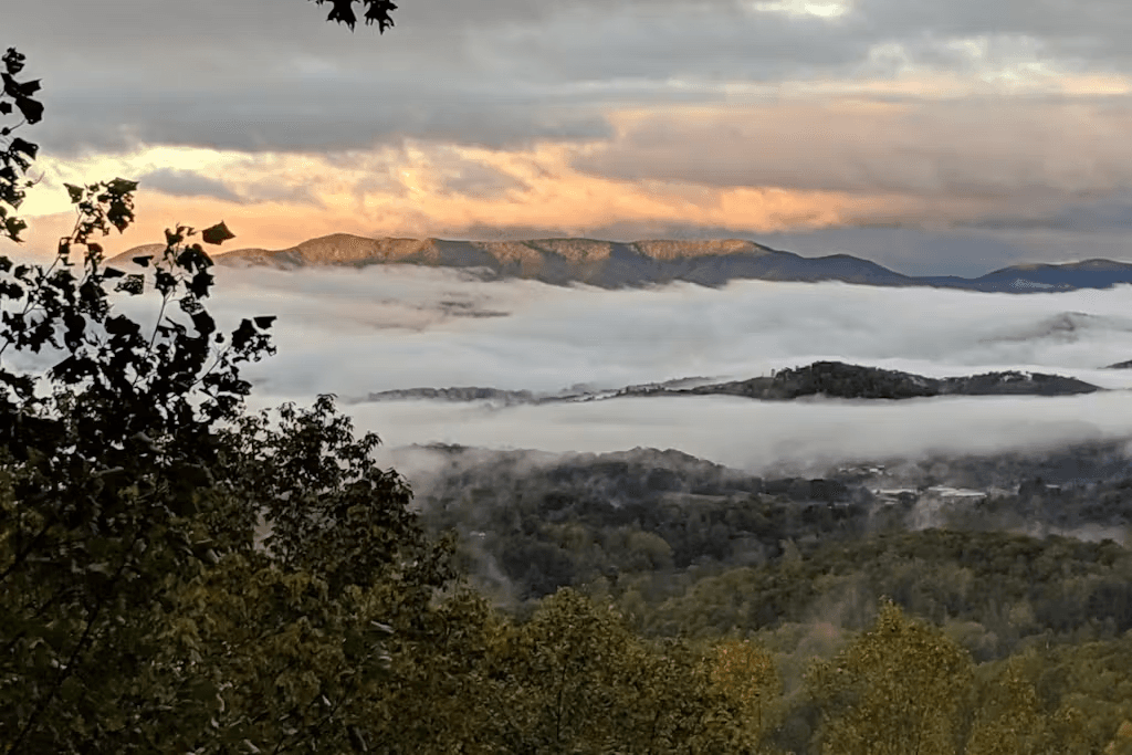 Black Bear Cabin - Image 33