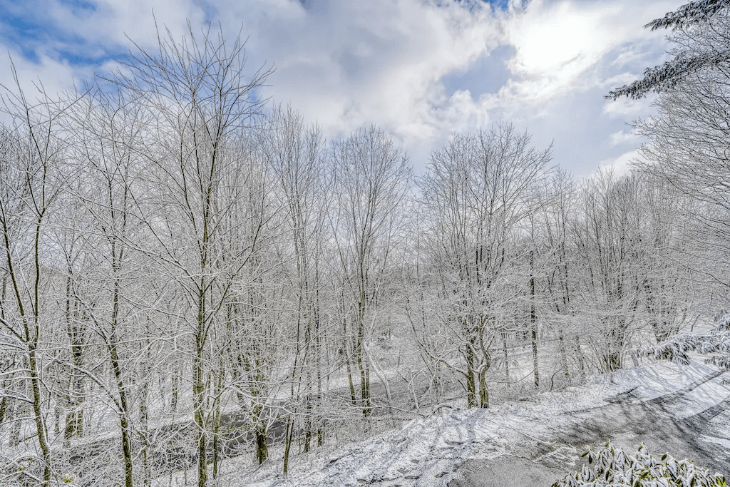 Skyland Home - Image 34