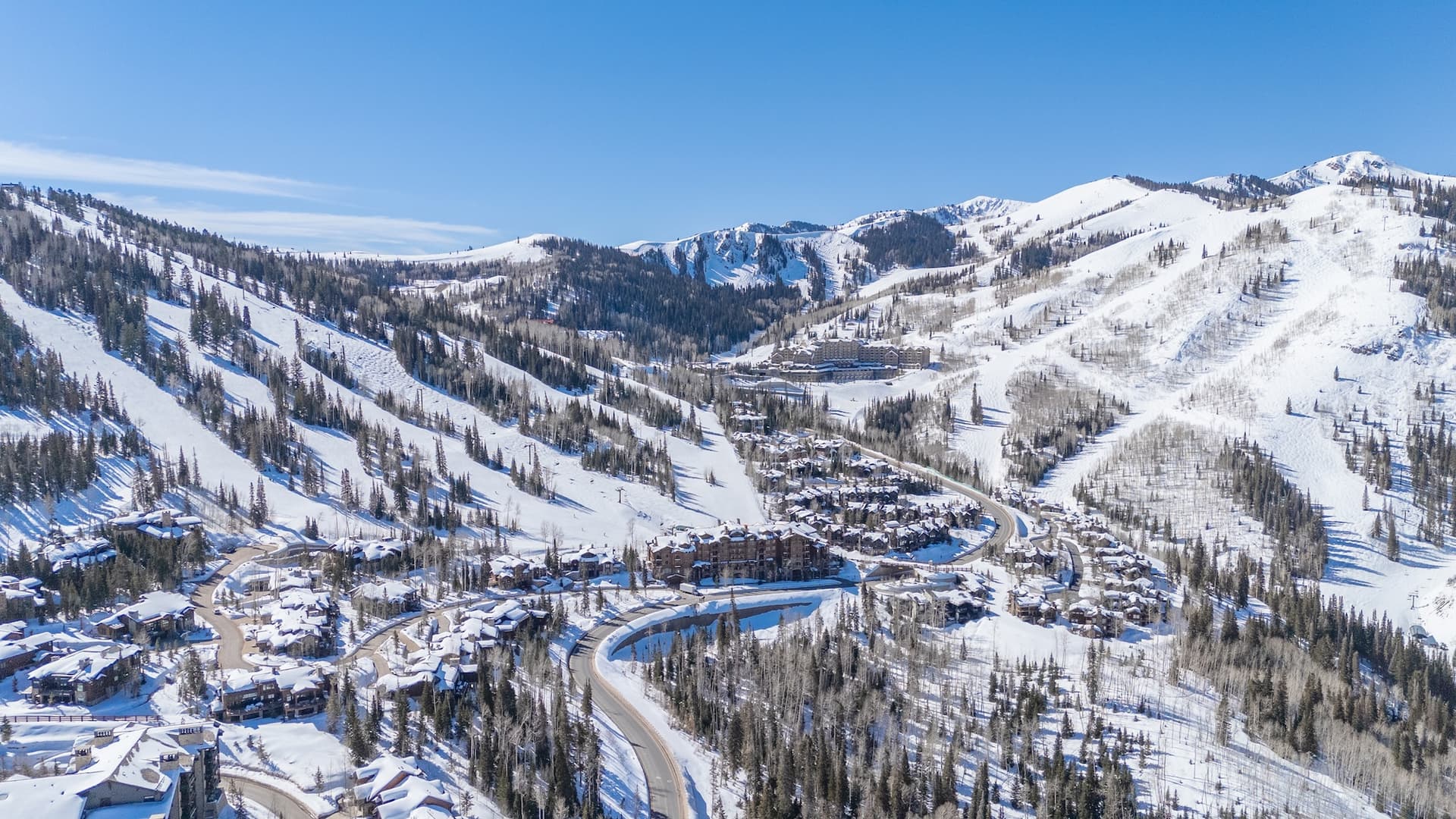 Silver Buck - Image 61