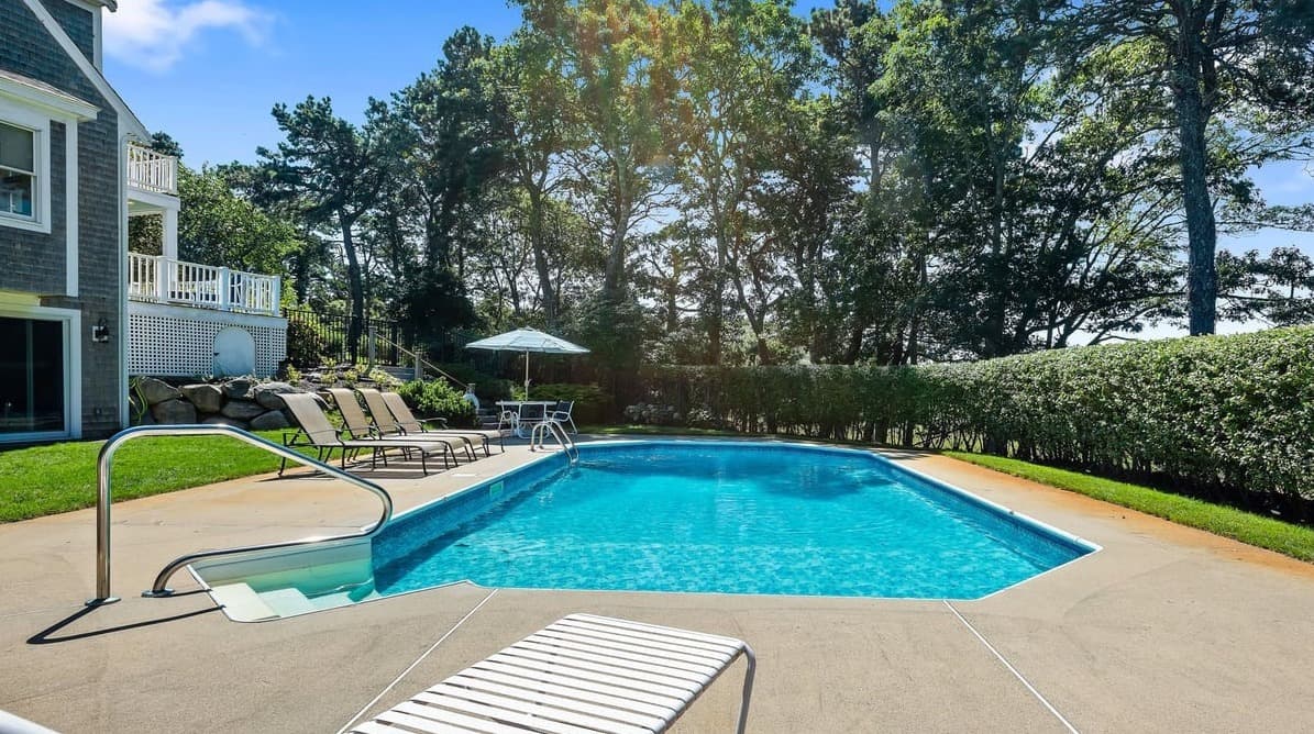 Chatham Bog - Image 2