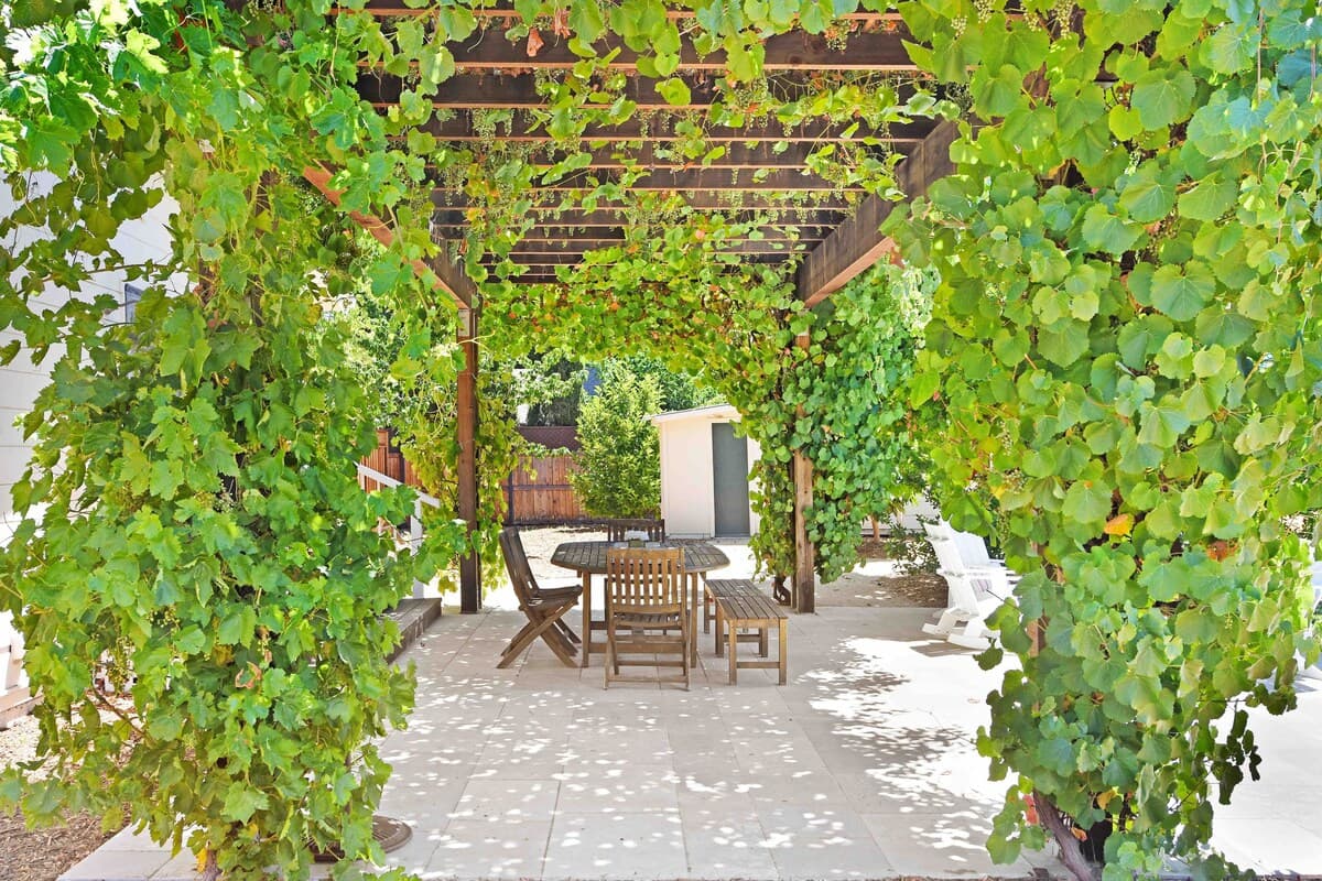 Newcomb Vineyard Escape - Image 21