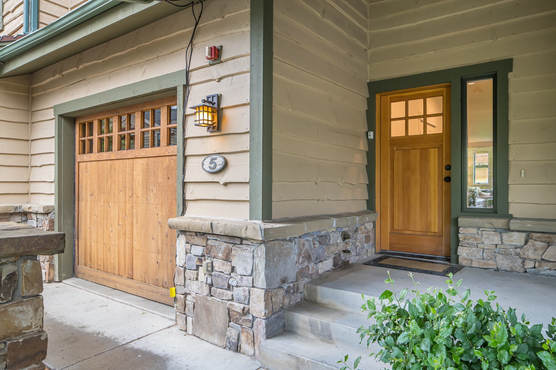 Cottonwood #5 - Image 28