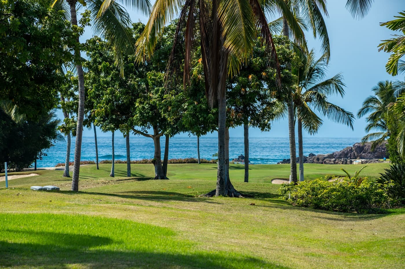 Las Palmas #5 - Image 31