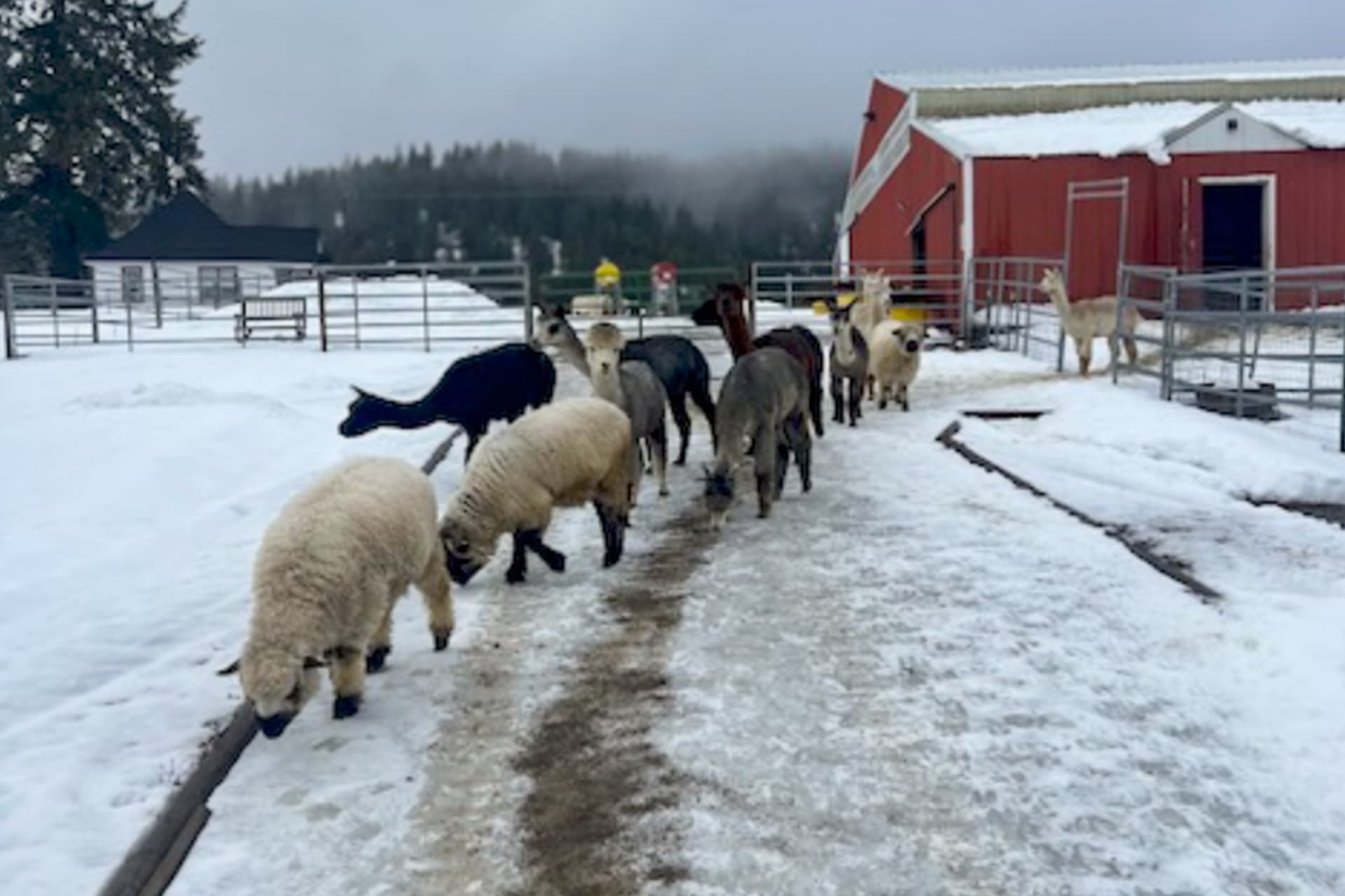 Lake View Getaway - Image 40