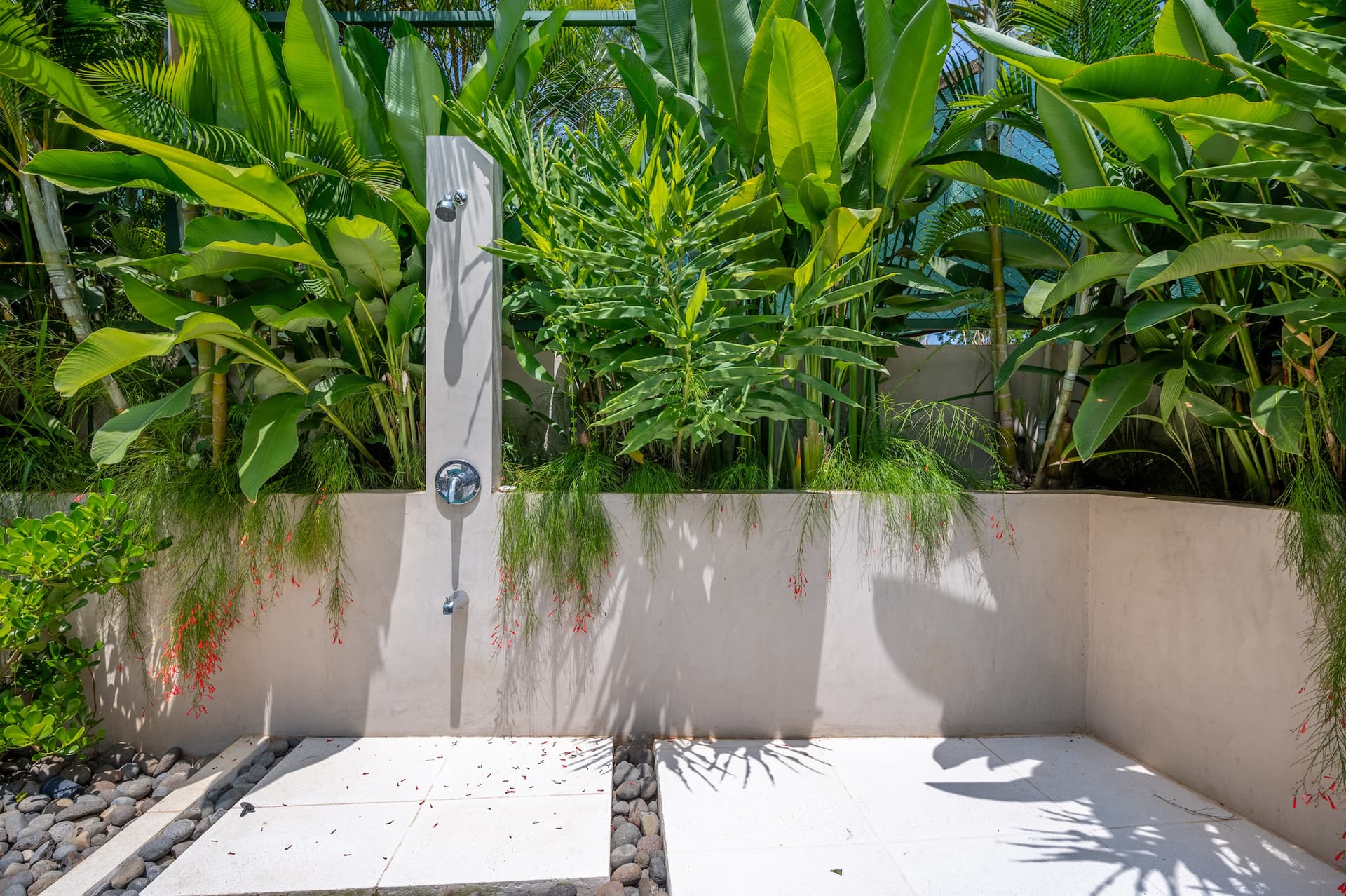 Casa Cheetah - Image 25