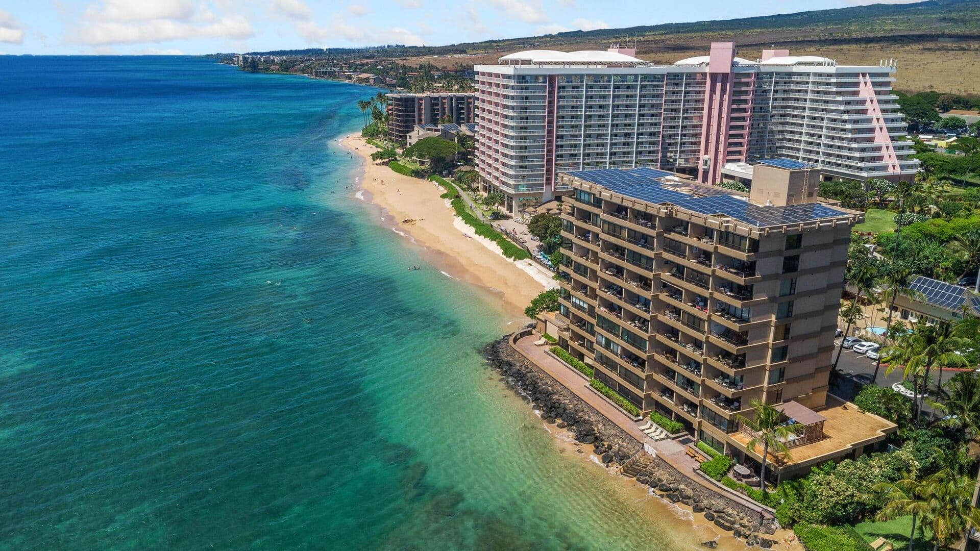 Maui Kai #301 - Image 49