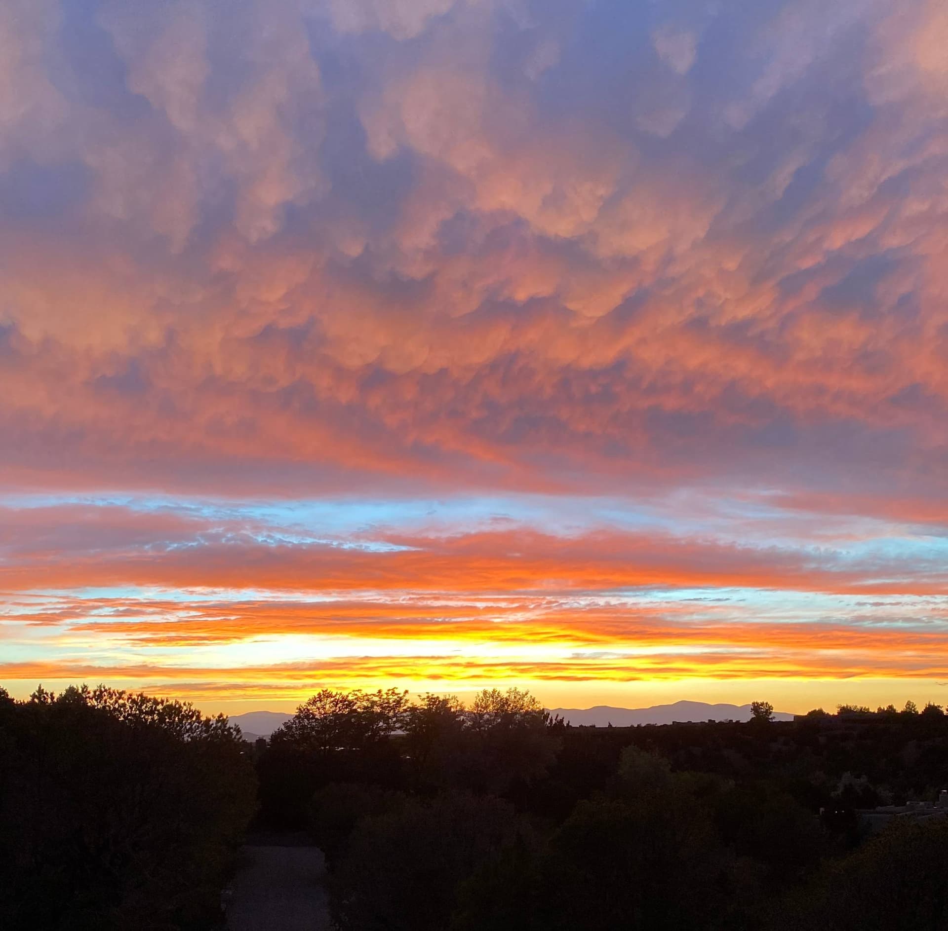 Vista Del Sol - Image 44