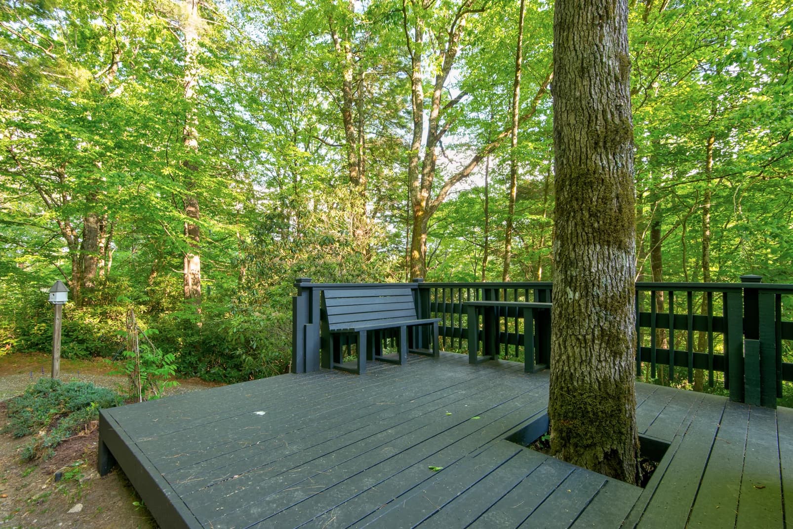 Paws a While - Image 46