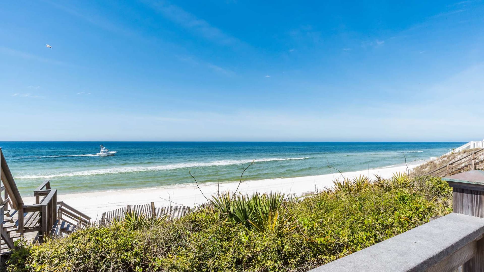 Pelican Paradise A+B - Image 43