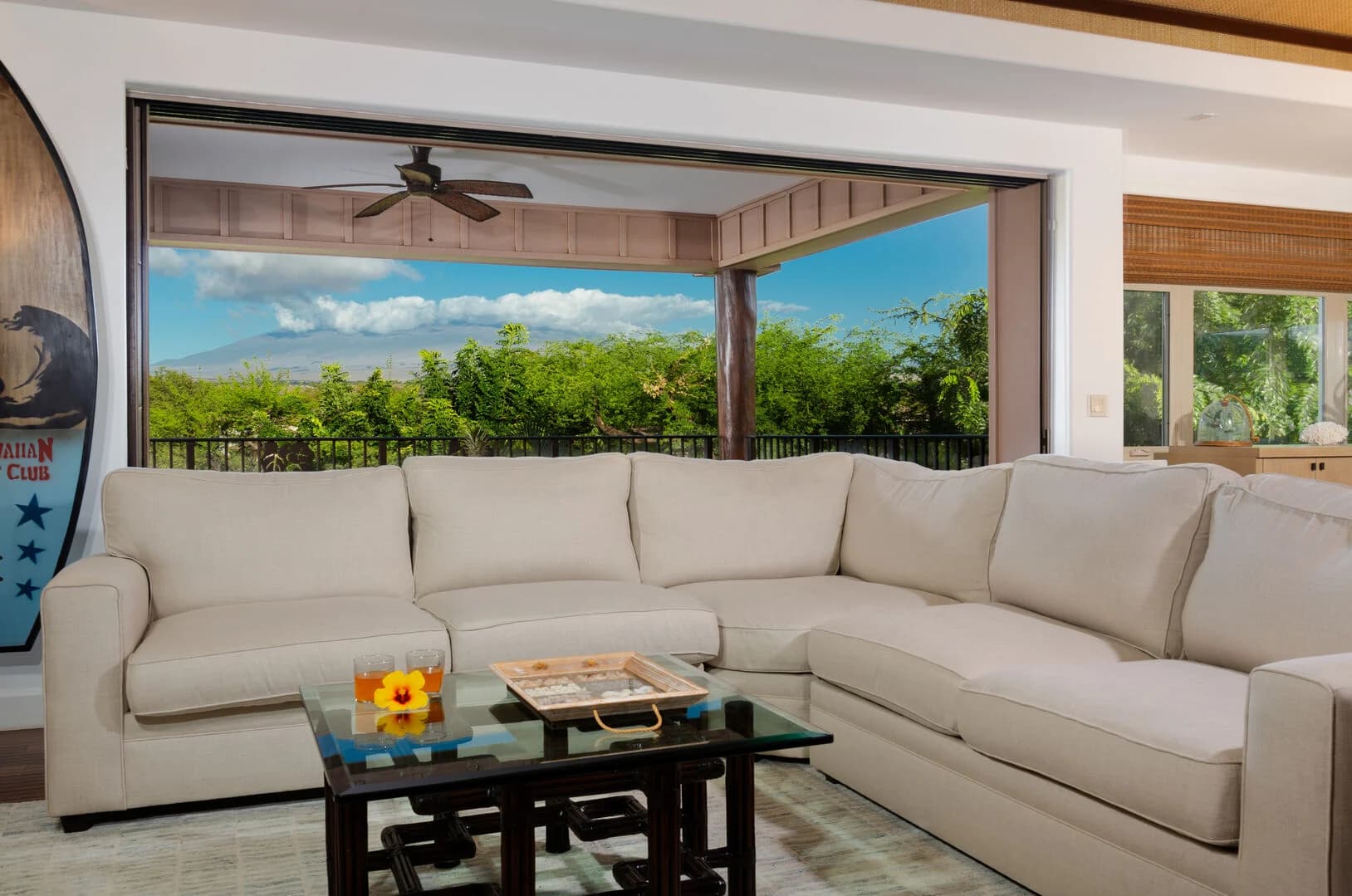 Pineapple Hale - Image 6