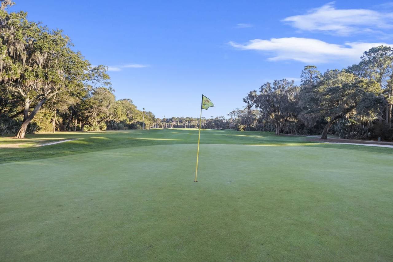 Yellow Throat Lane - Image 54