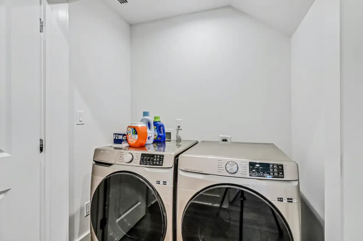 Spanish Dagger Serenity - Image 10