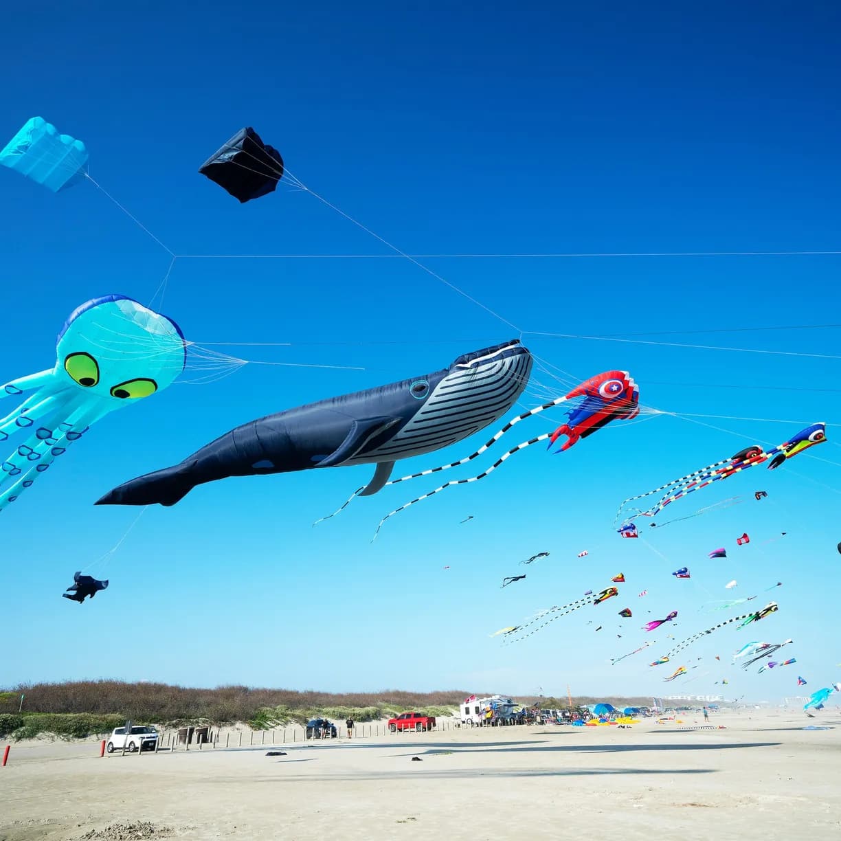 Wild Horse House - Image 38