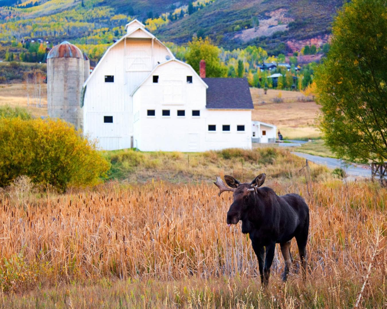 Retreat at Jordanelle #915 - Image 54